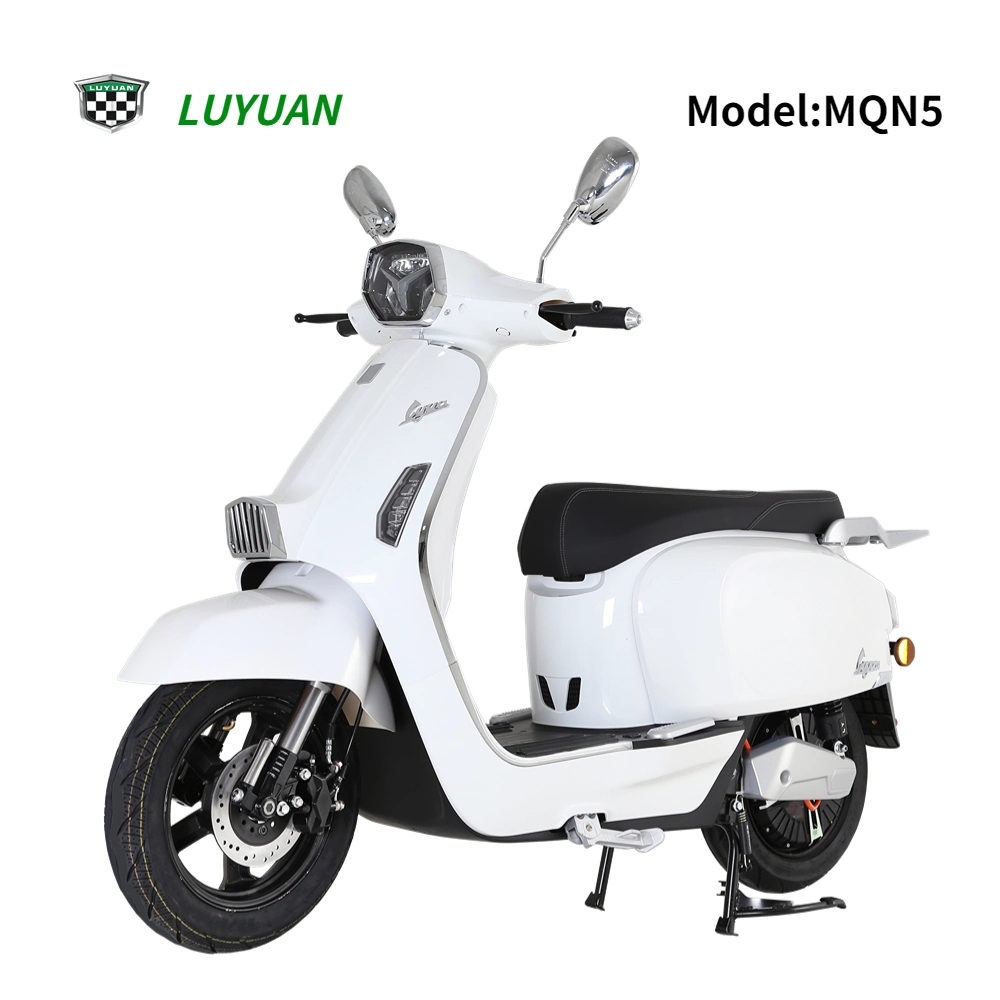 Mqn5 moto électrique CEE grande vitesse batterie simple