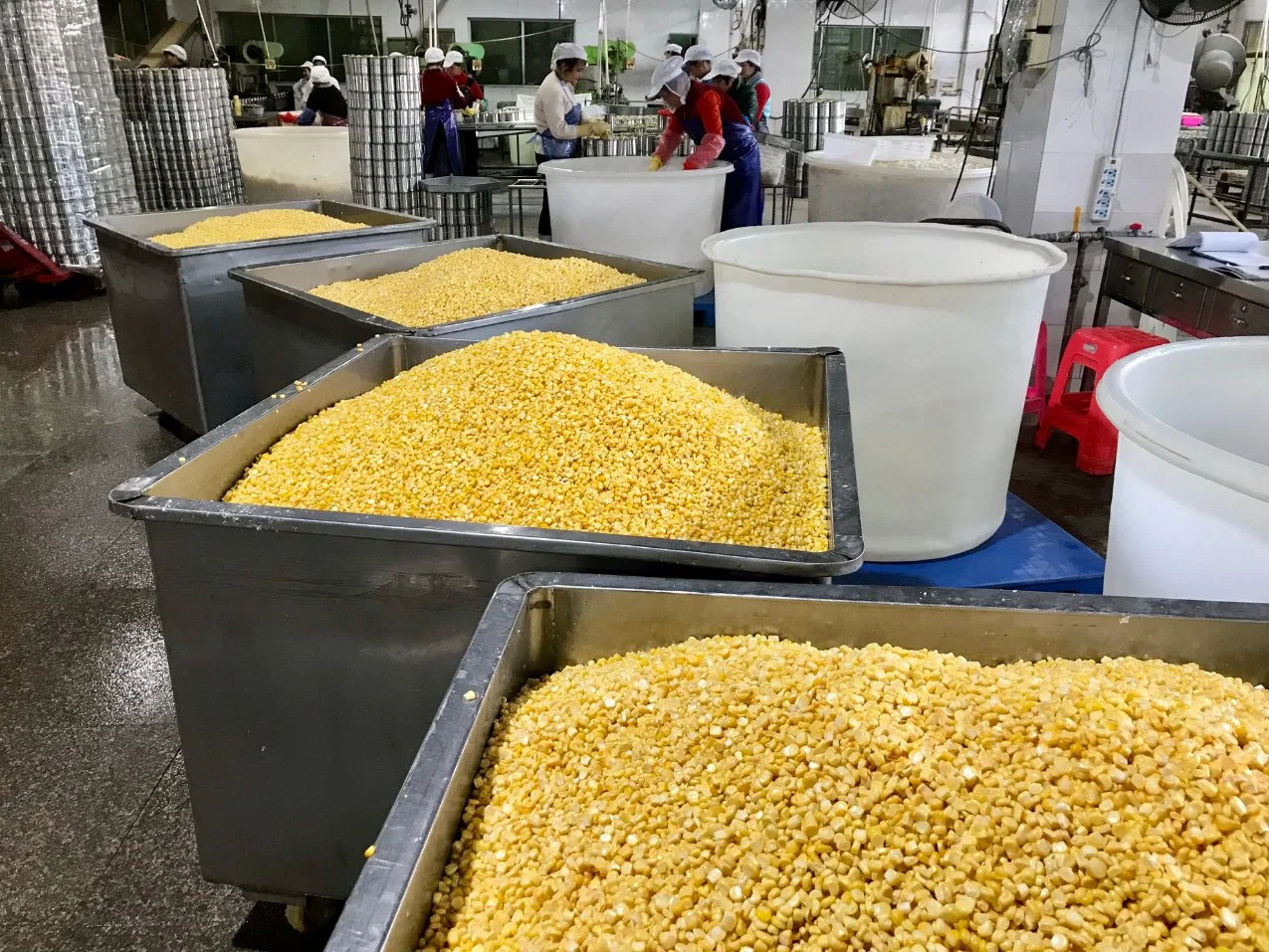 Fresh Vegetables Canned Sweet Corn Kernels with Cheapest Price