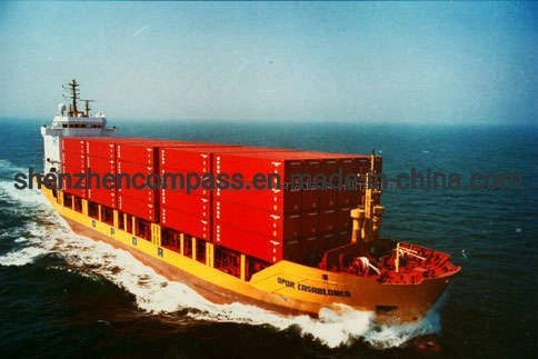 Companhia de Envio de qualquer Porto da China Tianjin/Qingdao/Xangai/Ningbo/Shenzhen/Guangzhou/Xiamen/Yiwu/Freight to Alexandria/Damietta/Port disse o Egito