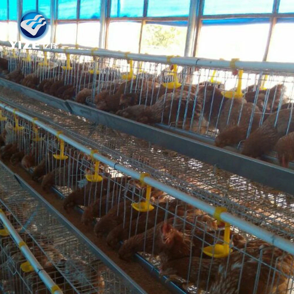 Hot Sale Good Quality Automatic Chicken Cage Poultry Farm Equipment