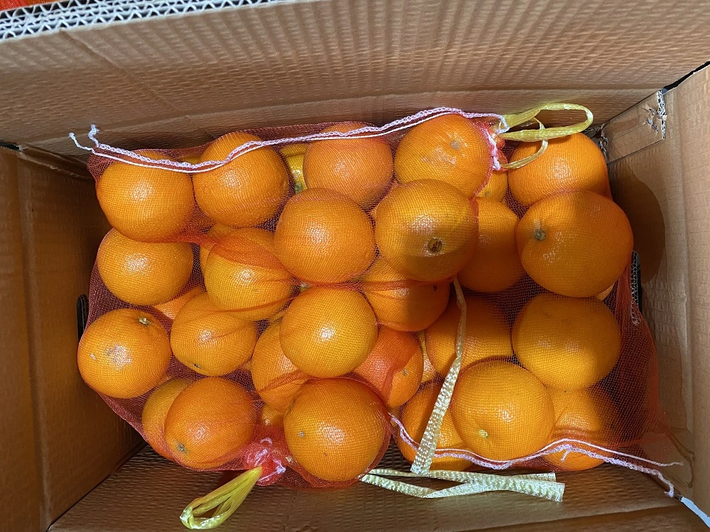 Chinese Fresh Navel Orange From Factory Direct Sale