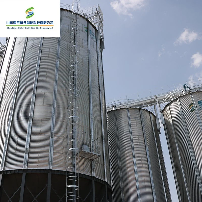 Verzinkter Stahl Korrugated Steel Grain Silos Hopper Boden Stahl Paddy Reis Silos zum Verkauf