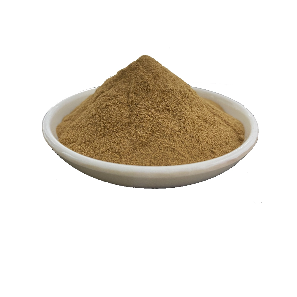 Astragalus extrato de raiz em pó 83207-58-3 Astragaloside a 5% a 98%