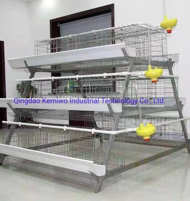 Automático de alta calidad de un tipo de aves de corral pollo Coop Cage