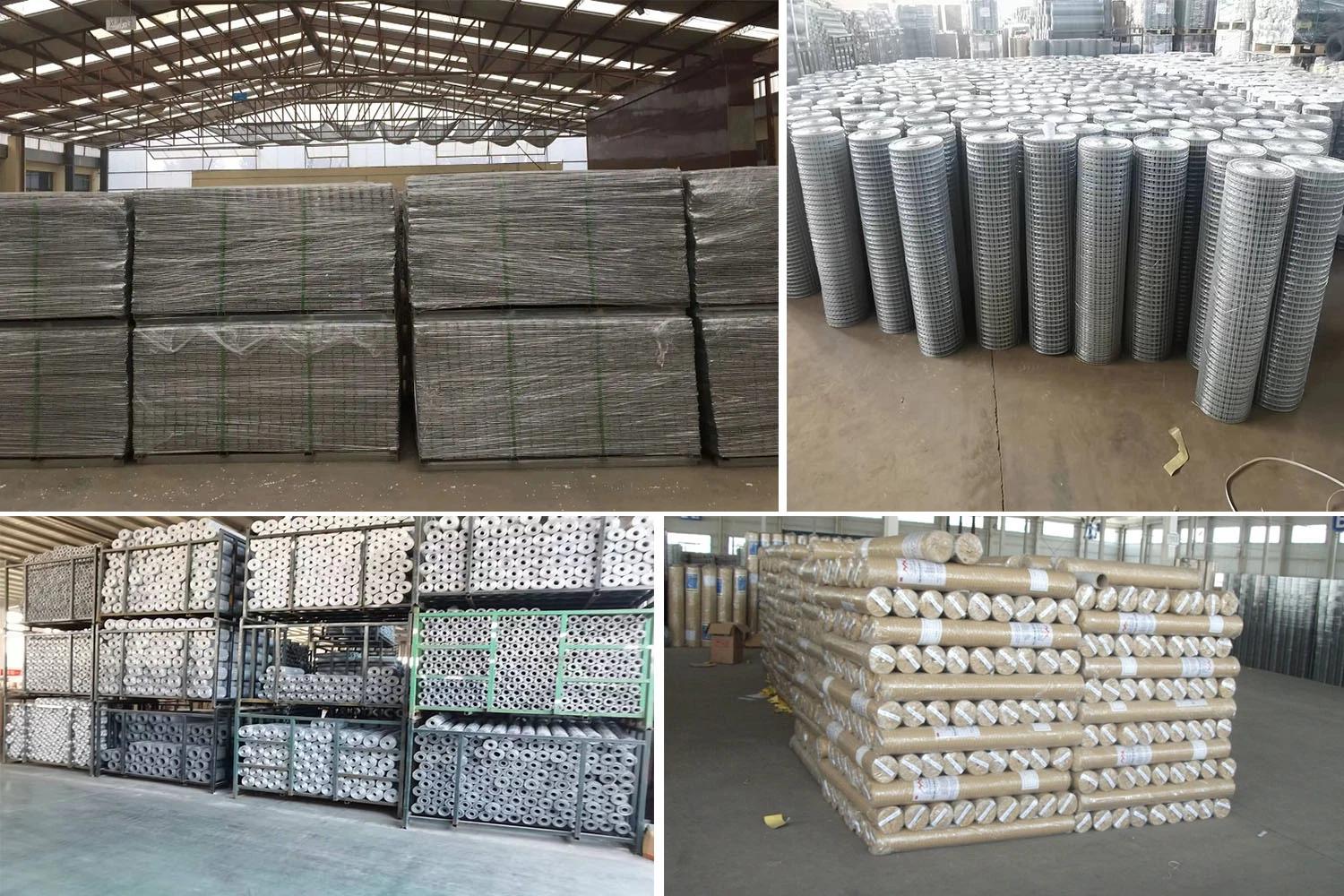 Hot Dipped Galvanized Steel Wire/Welded Wire Mesh