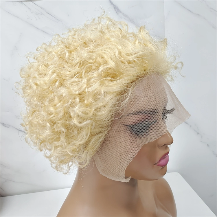 Short Lace Wig Human Hair Lace Frontal Pixie Wig with Baby Hair