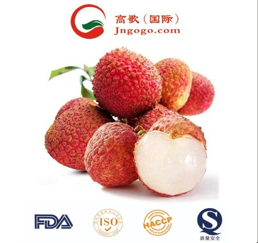 Seller Good Quality Lychee Fruit with Best Price