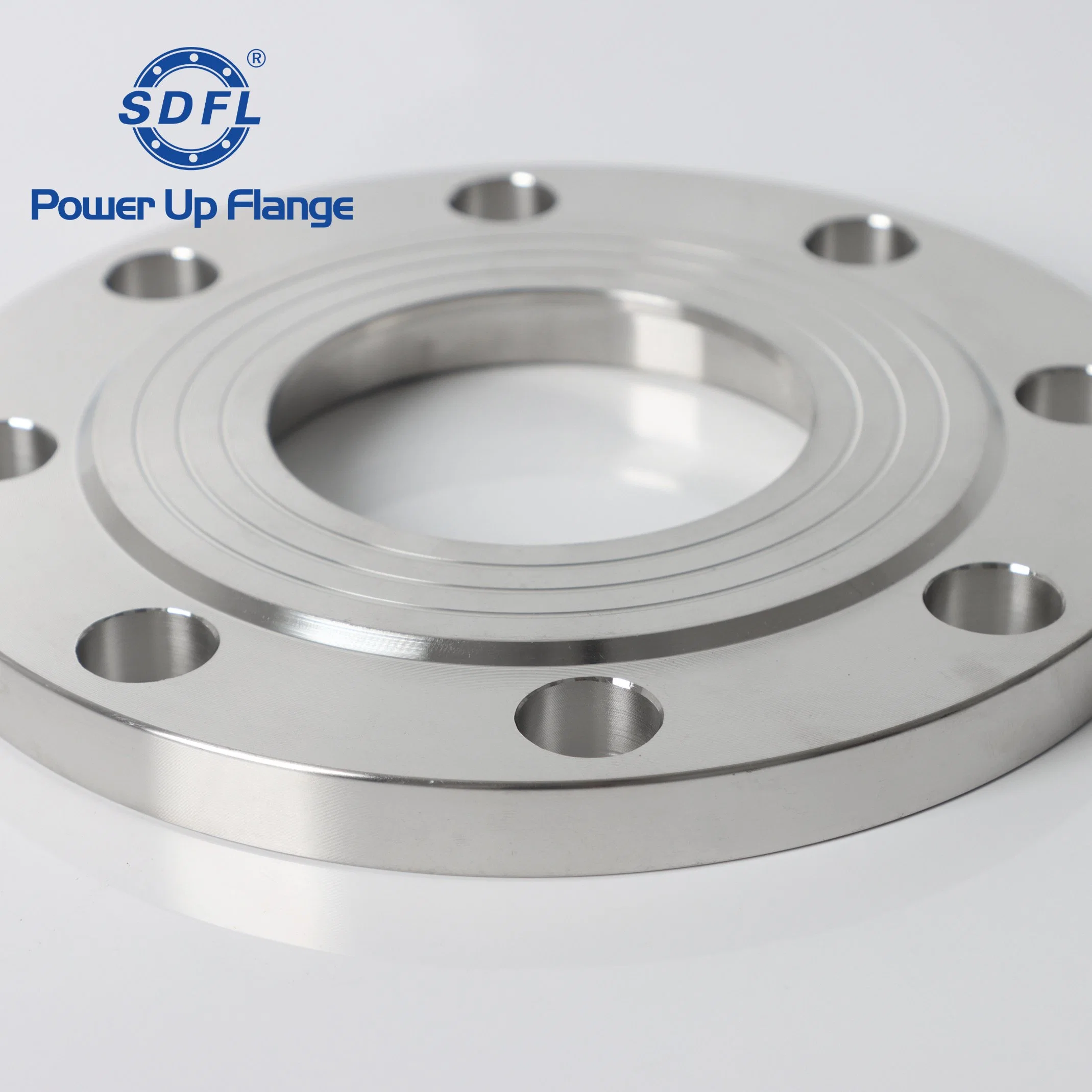 ASME B16.5 2inch 150b 304 RF Forged Stainless Steel Plate Flanges