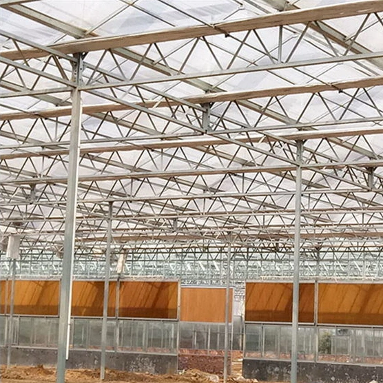 Multi Span Glass Greenhouse Cheap Agriculture Multispan Greenhouse, Commercial Greenhouse for Cultivation