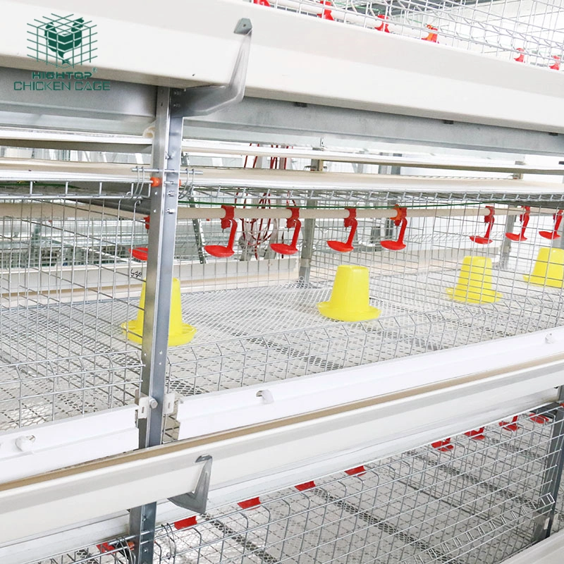 Factory Supply Automatic Chicken Farming Equipment Broiler Cage For South Africa