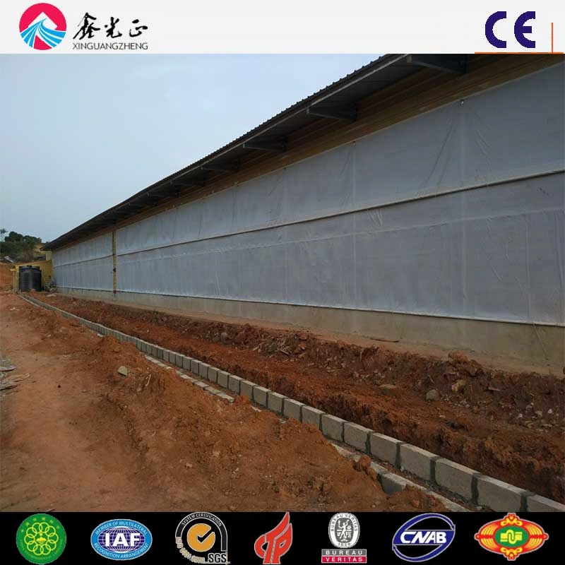 High Production Efficiency Steel Structure Poultry House for 10000 Chickens