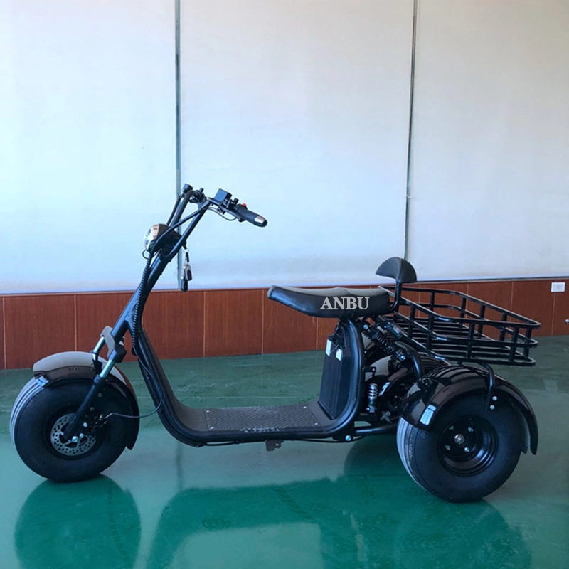 Wholesale/Supplier Factory Directly Fast Mobility Three Wheel Scooter Electrictricycle Side Car