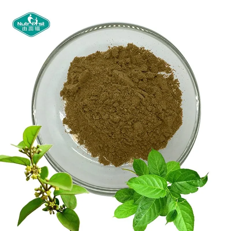 Chinese Herbal Plant Raw Material Gymnema Sylvestre Leaf Gymnema Powder Gymnema Extract in Bulk