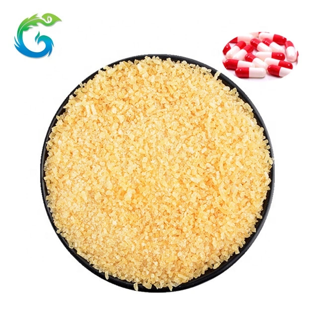 Animal Pharmaceutical Grade Gelatin for Medicine Industry