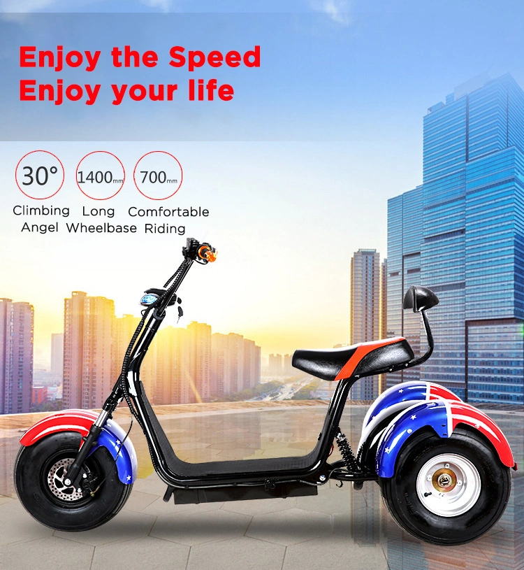 Mode de qualité Premium 60V Harley Fat électrique des pneus 3 roues scooter électrique 3 roues
