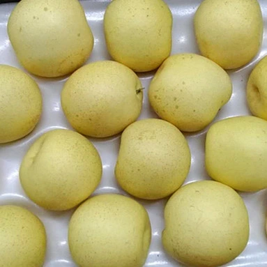 Good Quality Sweet Juicy Chinese Fresh Crown Pear