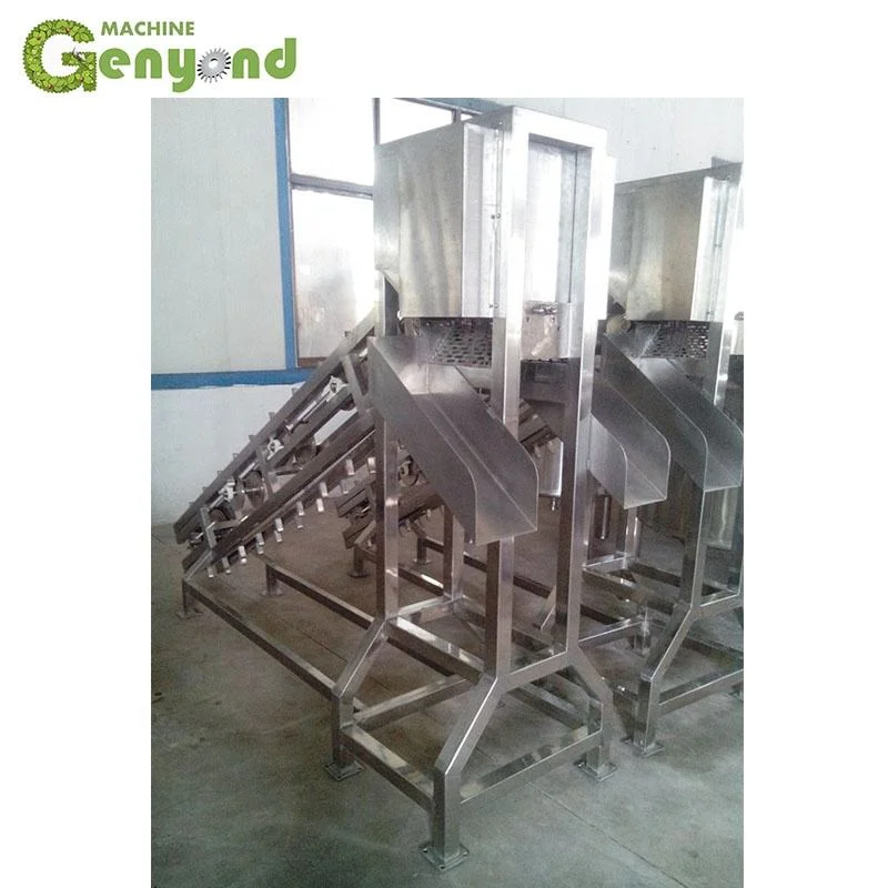 Automatic Aseptic Plastic Bag Coconut Milk Packing Machine for Milk Processing Line