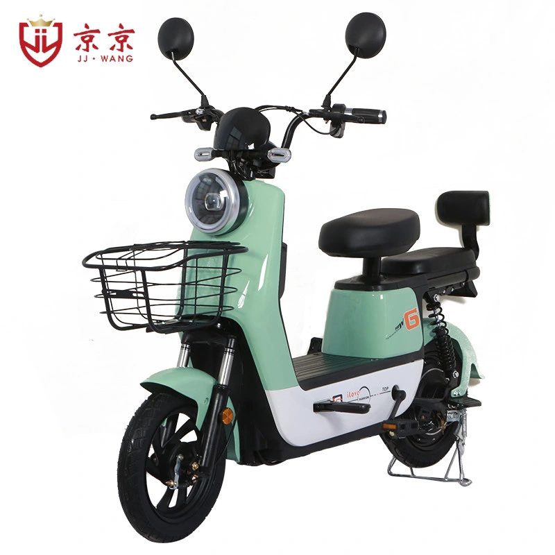 Electric Quad E Motorcycle Electric Scooter Dirt Ebike 350W Electric Bike Fiets