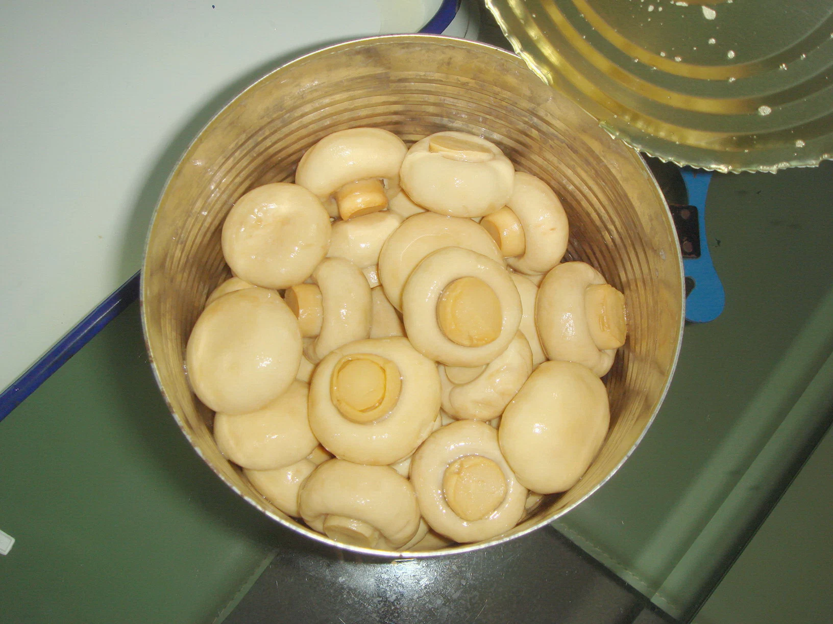 Healthy Canned Food Canned Whole Mushroom 2500g From China