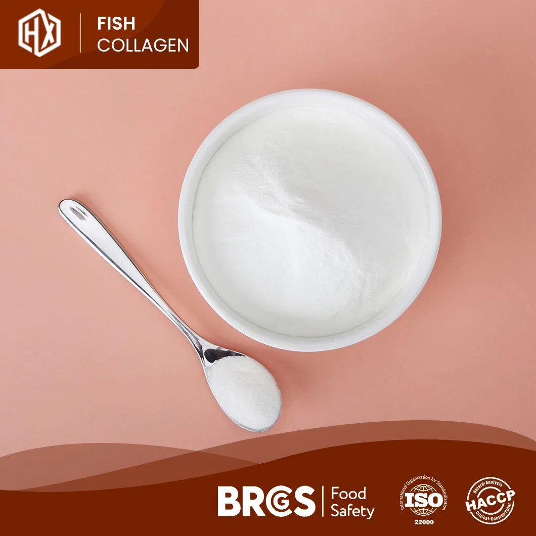 Haoxiang Hot Sale Cheap Price Collagen Powder Marine Bone Collagen 90% White or Pale Yellow Appearance Hydrolyzed Marine Tilapia Scale Collagen Peptides Powder