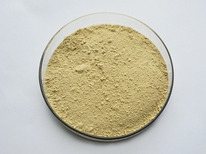 Astragalus Extract HPLC Test Astragaloside IV 98%