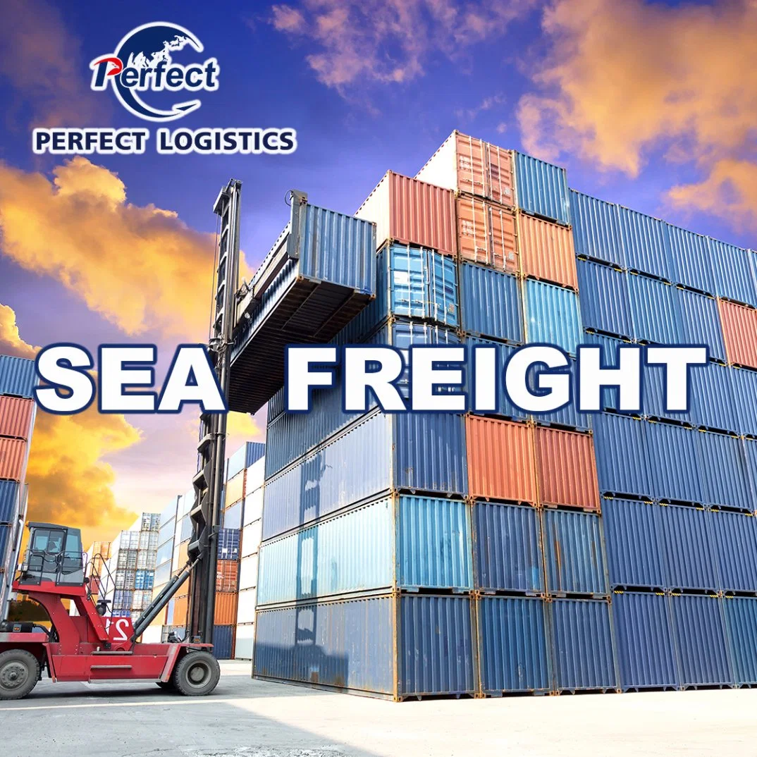 Freight Forwarder Sea Cargo Shipment Service From China to UAE