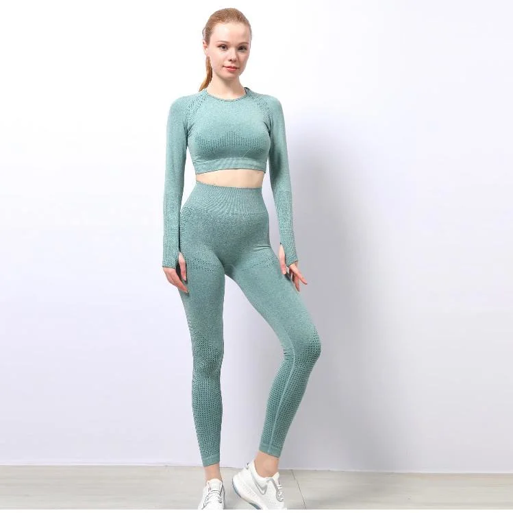 Women 2PC Gym Workout Fitness Tracksuits Athletic Clothes Activewear Yoga Wear Seamless Sport Bra Crop Top Long Sleeves Biker Shorts Leggings Custom Clothing