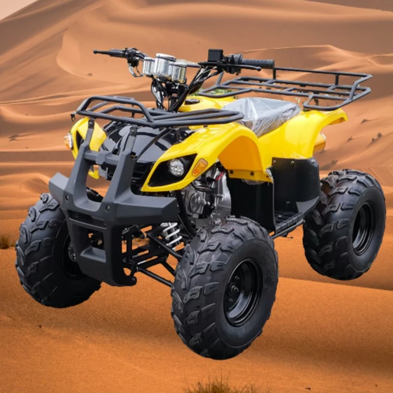 Chinese Professional Petrol Powered 125cc Quad Bike ATV