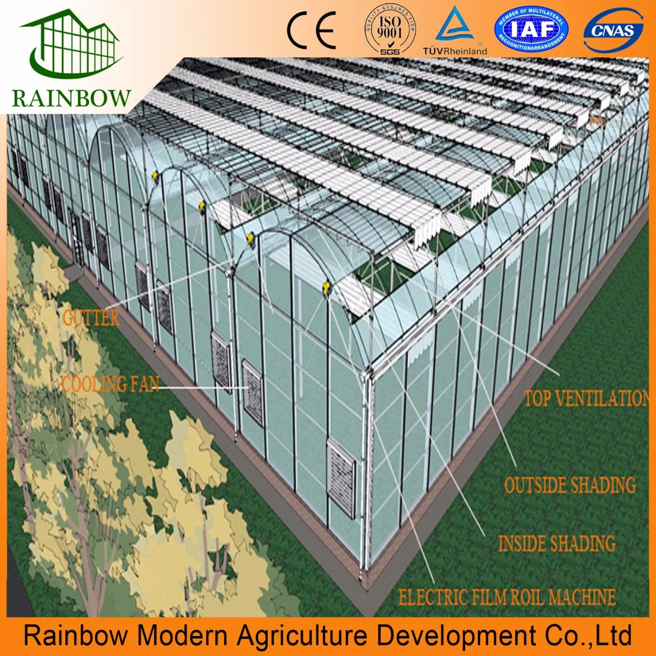 Multi-Span Poly Tunnel Film Greenhouse with Cooling System