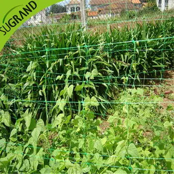 Anti UV 2m*1000m Plastic Cucumber Support Net Plant Trellis Freesias Net