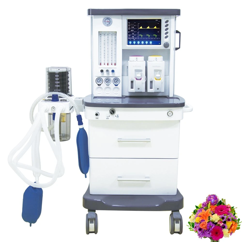 2022 Anesthesia Equipment Anasthesia Machine System with Ventilator