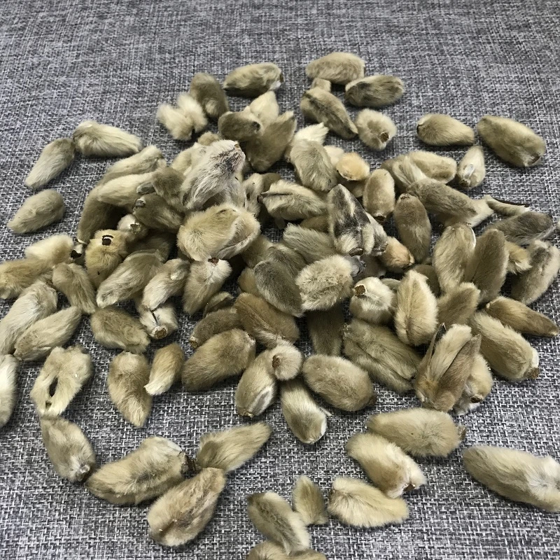 Xinyihua Natural Flavor Tea Dried Flos Magnoliae Flower Tea