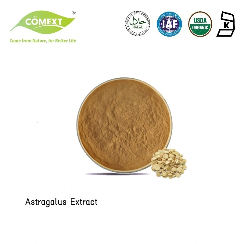 Extracto de hierbas de muestra gratuita de Comext mejor precio un 5% Astragaloside puro natural Extracto de astrágalo