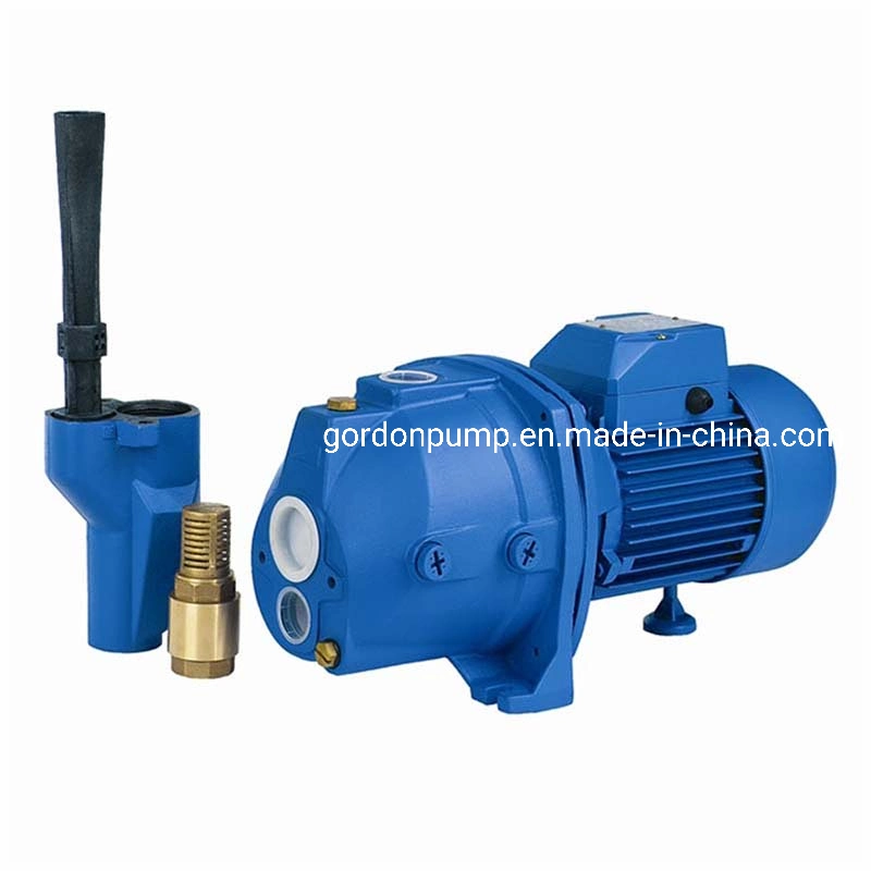 Electric Self Priming Deep Well Jet Pumps High Pressure Submersible Dp550A