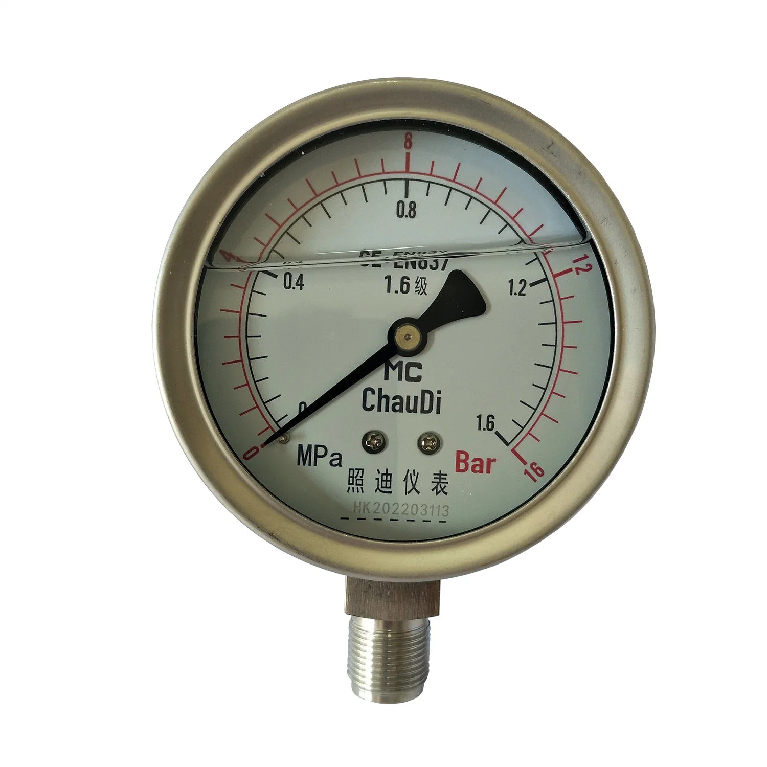 Factory Price 0-100MPa Stainless Steel Diaphragm Bourdon Tube Pressure Gauge for Gas