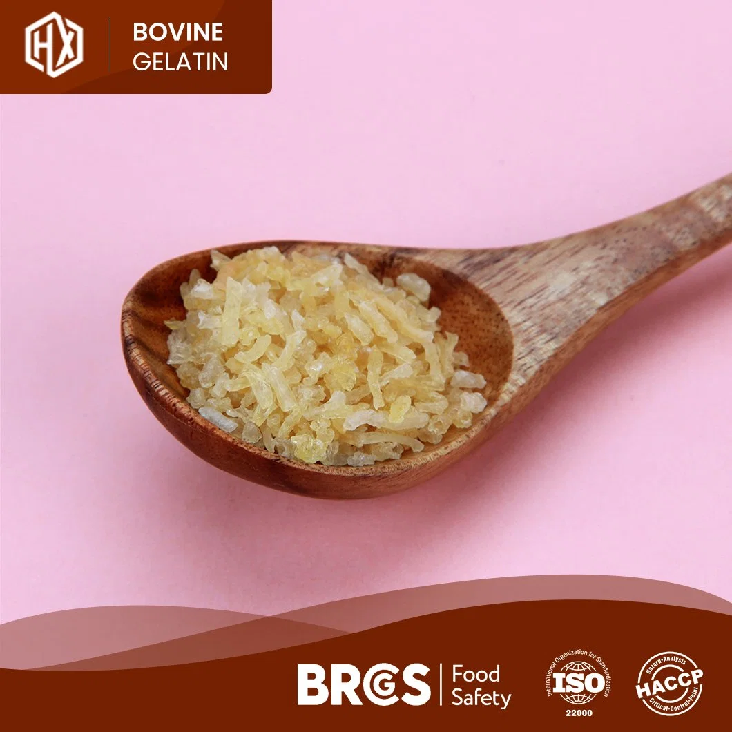 Haoxiang 260 Bloom qualité alimentaire peau de bovin gélatine poudre haute Qualité Pharma peau de bovin gélatine Chine Fabricant prêt à expédier Gélatine hydrolysée de la peau de bovin