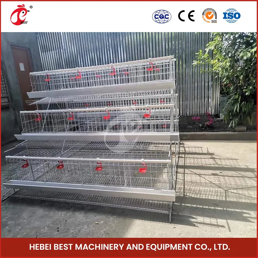 Bestchickencage a Type Layer Cage China Chickens Poultry Farm Layer Cages Factory OEM Custom Chicken Brooding Layer Cage Configuration Chicken House Equipment