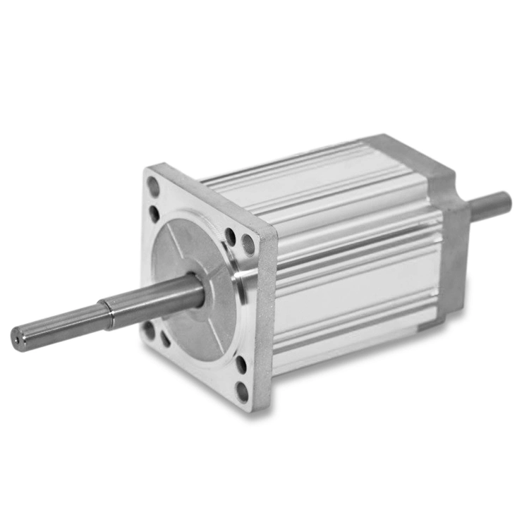 High Torque Pump Motors for Sale 250W Brushless DC Motor 48V Electric Vehicle BLDC Motor