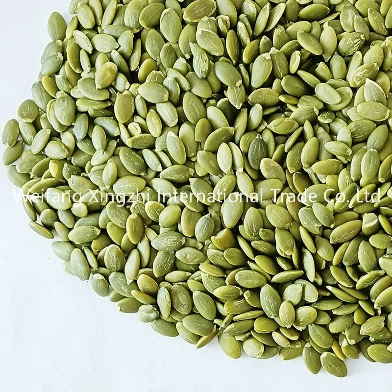 Wholesale/Supplier Good Quality Pumpkin Seeds Pumpkin Kernels AA and AAA Grade