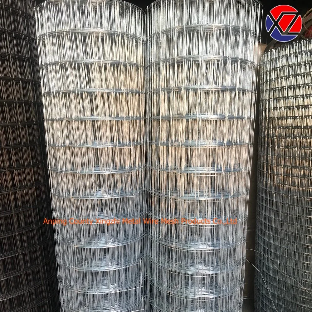 Galvanized Stainless Steel Welded Wire Mesh (Factory price)