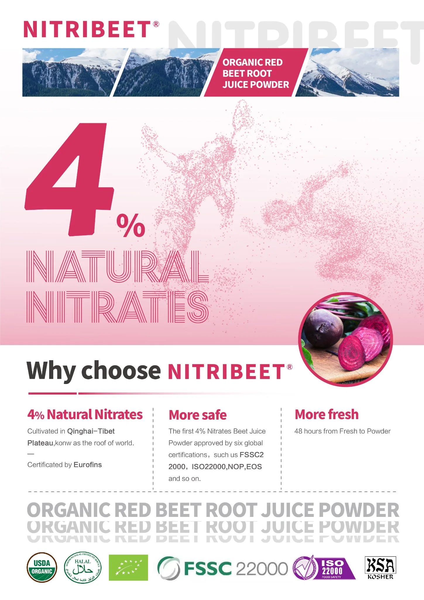 Beet Root Jucie Powder (standardized by 5% Nitrate) Natural