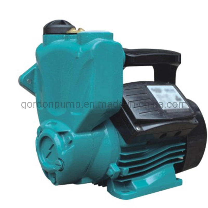 Electric Copper Wire Self-Priming Auto Water Pump with Switch Box