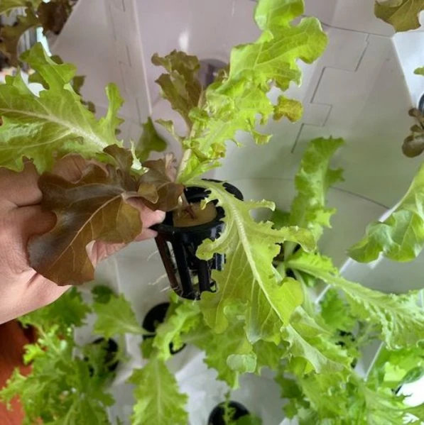 Sistema de riego Aeroponics Los sistemas de cultivo hidropónico interiores Casa Torre de la agricultura Vertical Jardín Vertical con luz LED el cultivo de hortalizas