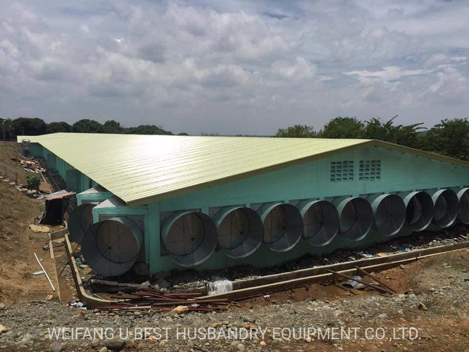 Light Steel Frame Chicken Poultry Farm for Sale in Malaysia