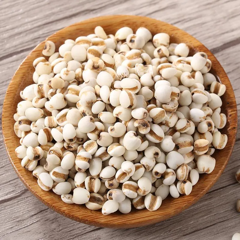 Wholesale/Supplier Chinese Herbal Medicine Dried Coix Seed