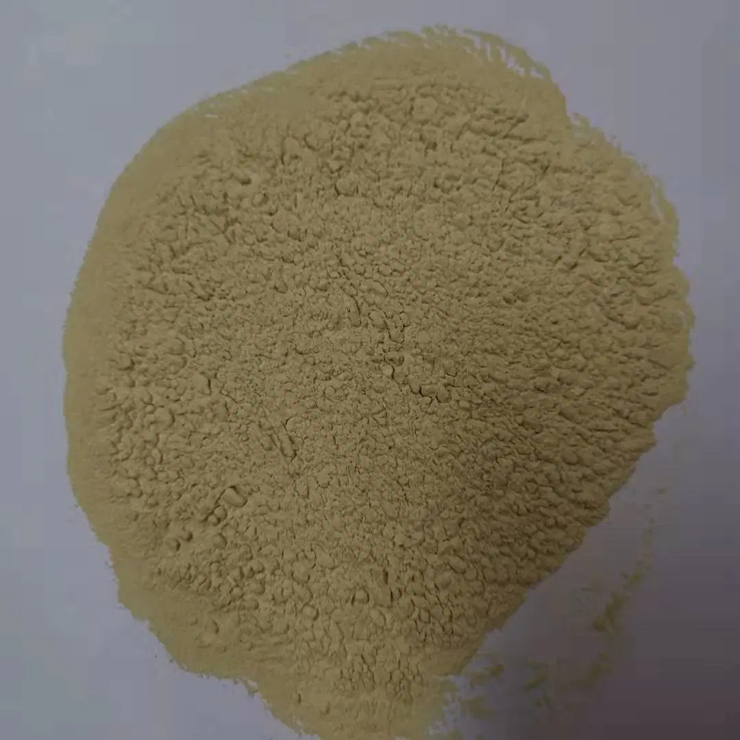 Herbal Extract Solvent Extraction Food Grade Rosemary Extract