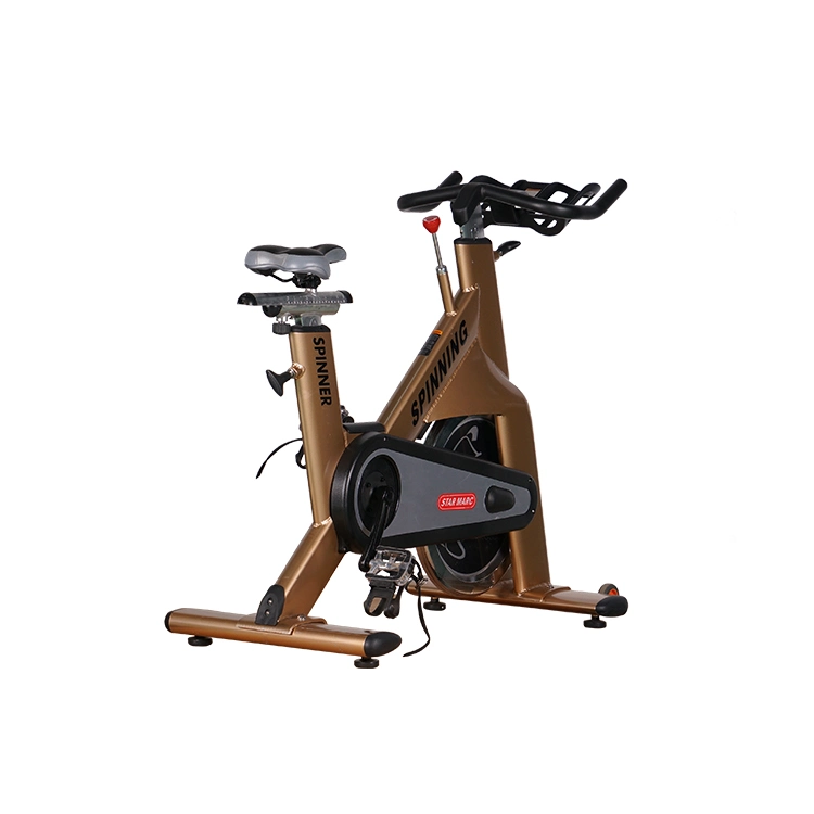 Leekon Custom Indoor Slimming Spin Bike Weight Loss Gym Fitness Commercial Workout Equipment