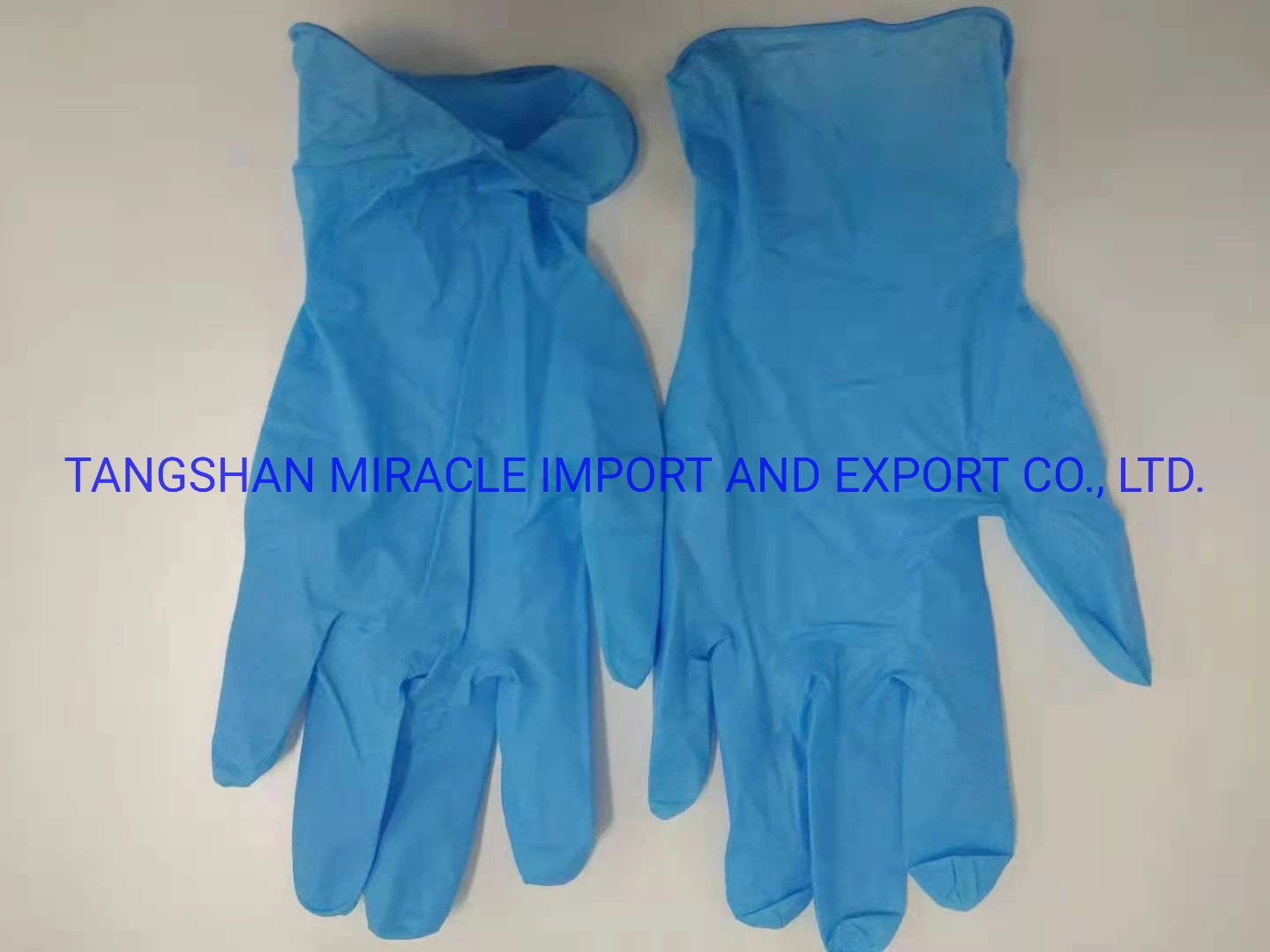 Protective Gloves Powder Free/Powdered PVC/ CPE /Glove Disposable Gloves Food Grade Industrial Grade Examination Glove