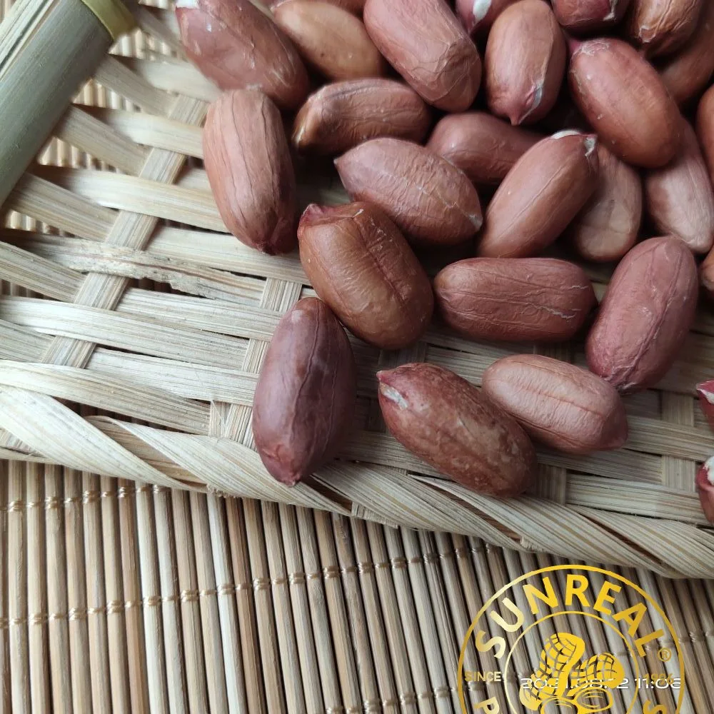 Raw Peanut Kernels Virginia 28/32 China/High quality/High cost performance  Peanut Seeds