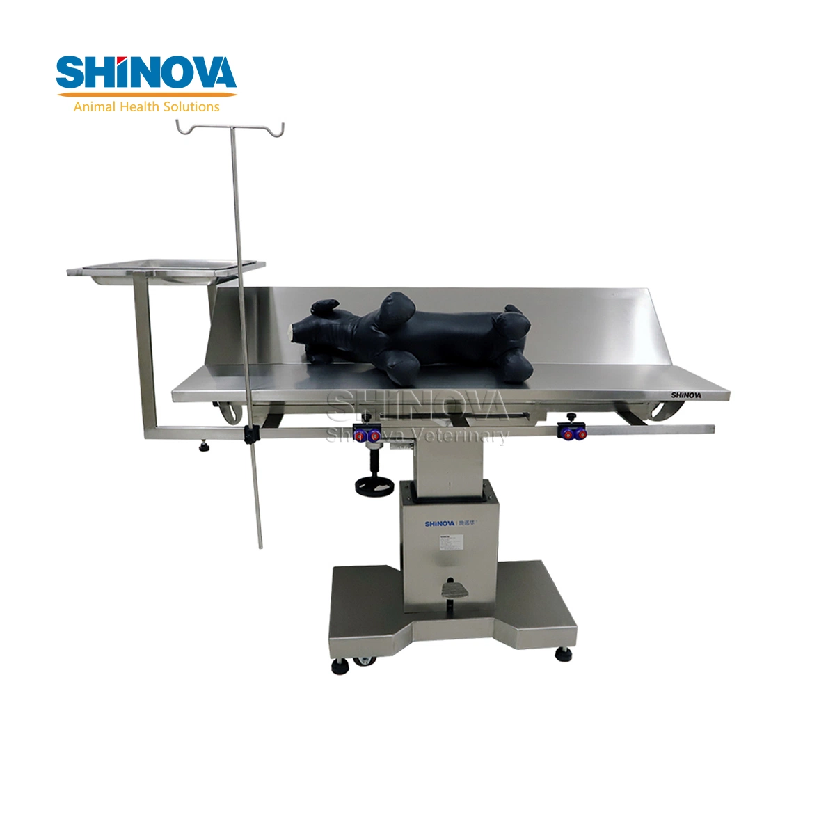 Veterinary Equipment Hospital Equipment Operating Table (OT-02CV)